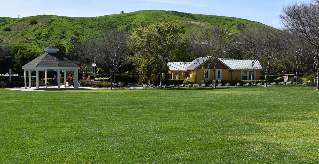 Fun Facts About Ladera's Landscape Ladera Ranch
